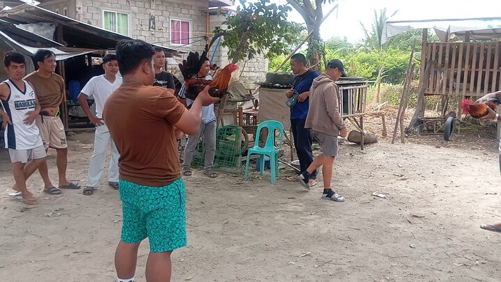 di na nagsugat #fastkill #lateborn banded