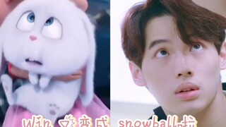 【Win/林汉洲】赢仔又变snowball啦(含彩蛋/超甜/可爱)