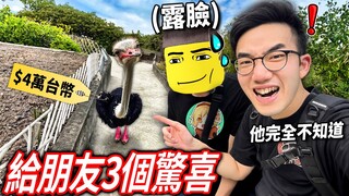 【有感筆電】我抓「鴕鳥先生」本人露臉了！一起去台灣最大的動物園VLOG！買下40000元的神秘大禮..看朋友收到的反應是?! (他跳了科目三💀)