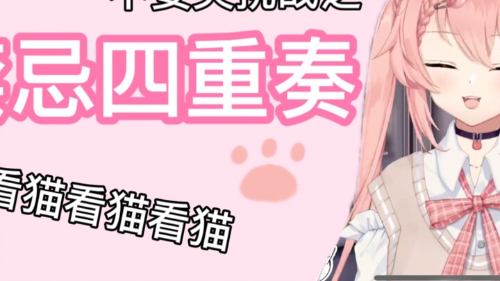 【hiiro slice】Kucing memandang kucing memandang kucing memandang kucing