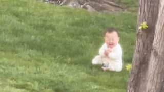 被遗弃在草地上的小胖胖