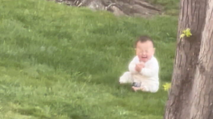 被遗弃在草地上的小胖胖