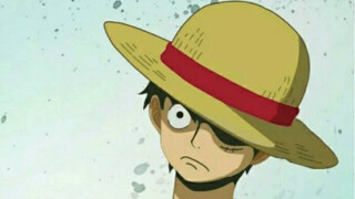 One Piece: Adegan terkenal yang mengharukan, hanya karena itu kamu, jadi kami selalu mempercayainya!