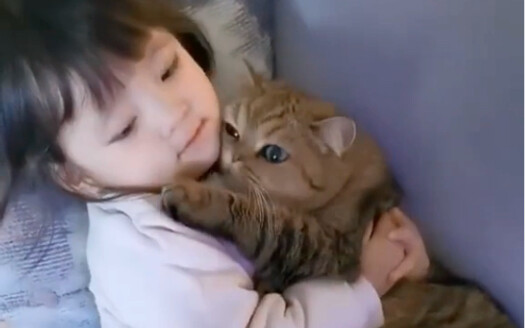 Who should I envy? I've become (,,•́.•̀,,)