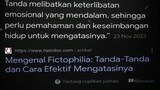 Apa itu Fictophilia? 🤔