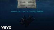 Billie Eilish - BIRDS OF A FEATHER (Official Lyric Video)