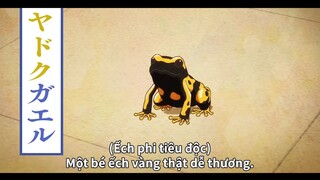 Nhìn bên ngoài dễ thương đấy nhưng bên trong thì không đâu #anime
