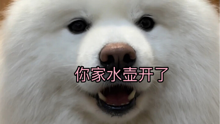 The voice doesn’t match the looks at all.