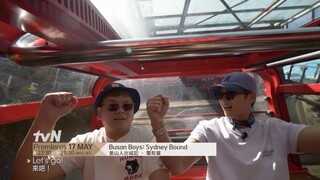 Busan Boys: Sydney Bound | 釜山人出城記 - 雪梨篇 Highlight