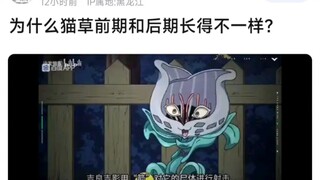 为什么猫草前期和后期长得不一样？