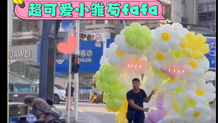 Balon bunga daisy kecil | Balon babi belum sempat dibeli, eh sekarang muncul lagi balon si Fa! Siapa