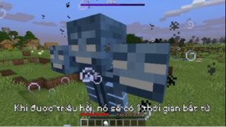 Những Sự Thật Thú Vị Khiến Bạn Không Tin Được Rằng Chúng Có Thật Trong Minecraft