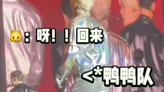 文俊辉带领汪汪队喵喵队开大会，本人社牛 成员代理害羞