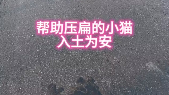 Đây là Mậu à???