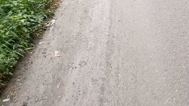 my bhai ji blog video