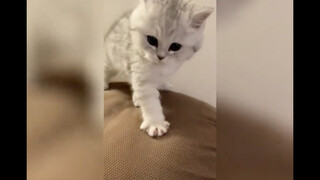 When you are weak enough, even anger looks cute