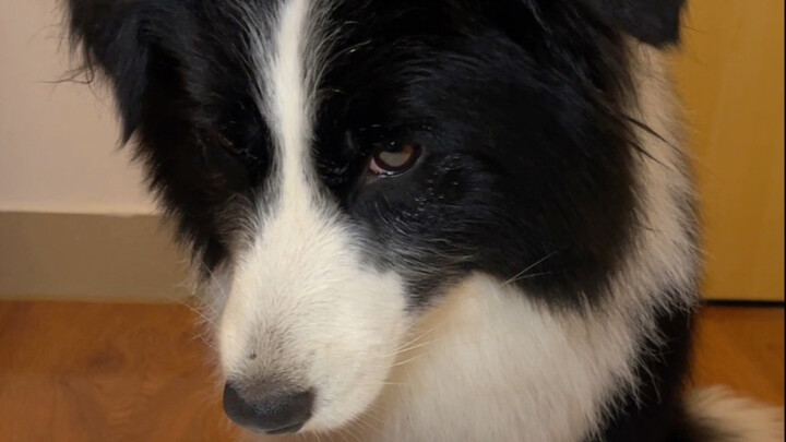 القواعد وُضِعت للخاسرين.