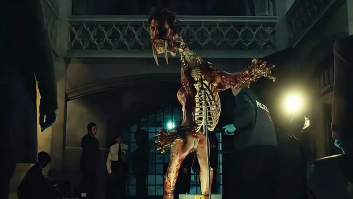 Gazing at a human skeleton in the museum, the man’s eyes betray a deep sense of satisfaction. As a t