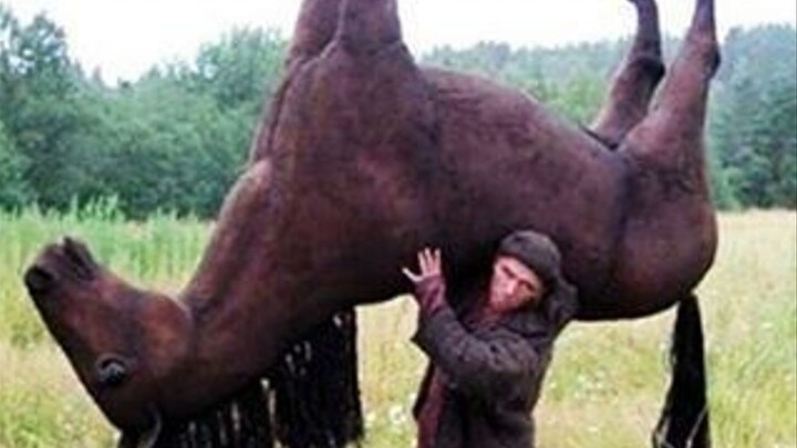 【FunnyPunk】Beat Your Sadness! Collection of Fun Videos from Abroad #218