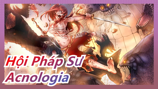 Hội Pháp Sư| Vua của rồng-Acnologia