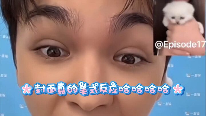 【Cui Han Shuai & Vernon】Si Bo kecil yang bersemangat saat bertemu dengan para penggemar pencinta kuc