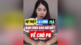 Sự thật về đuôi chó cho thucung education LearnOnTikTok thybian