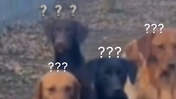 My young man, but you got a false start???