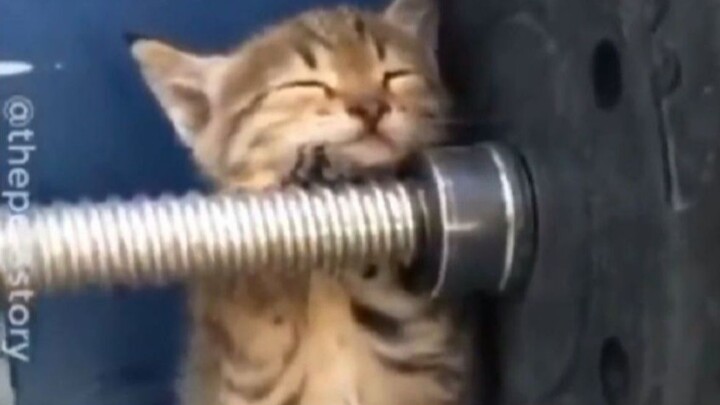 «الكمية القاتلة»