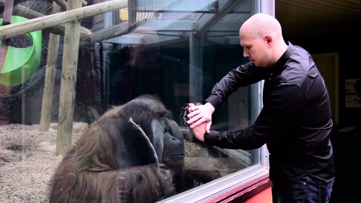 Chết tiệt, giống hệt lần đầu tiên tôi xem biểu diễn ảo thuật