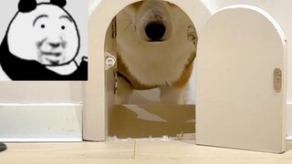 "احتضني! لم تكن هنا حتى عندما كنت أقوم بالتجديد~"
