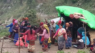 women group dance in panchebaja | dance in panchebaja | nepalese style music and dance |