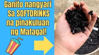 Ganito nangyari sa Sorfdrinks na pinakuluan ng matagal