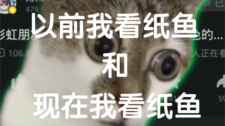 เมื่อก่อนฉันดูปลากระดาษ กับตอนนี้ที่ฉันดูปลากระดาษ