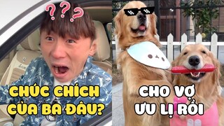 Gia Đình Gâu Đần | Vợ Chồng Đản Hoàng Hợp Tác Cho Papa Ăn Cú Lừa Siêu To Khổng Lồ | Yêu Lu