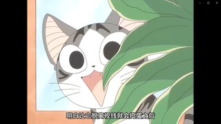 孩子静悄悄必定在作妖，你家猫突然安静你是不是会感觉后背发凉？