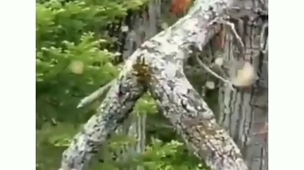 ?! Anh ta đang làm gì vậy?