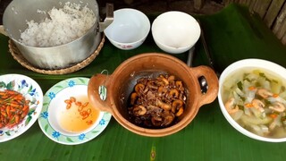 Canh Chua Bầu Tép Bạc Kho Khô Bữa Cơm Ngày Nào Cũng Mưa| TKQ T420