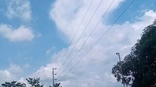 Labo, camnorte🤎