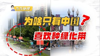 Why are China the only country in the world with green belts on its highways? [Dangdang Geography]