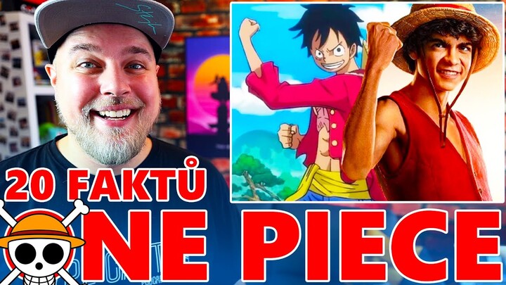 20 FAKTŮ - ONE PIECE