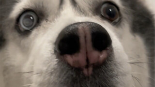 Anak ini masih perlu berlatih lagi.