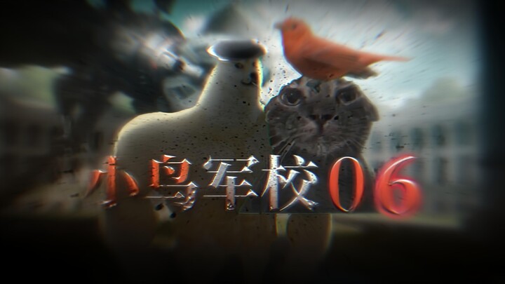 《小鸟军校》(6）——救世主·降临