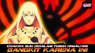 CHAKRA BIJU DITUBUH HIMAWARI BANGKIT KARENA HAL INI
