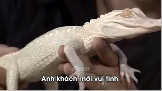 Những Người Sinh Ra Ở Vựa Muối #meme
