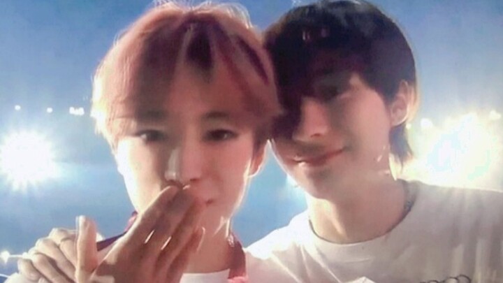 “Yushi × Anton” – Vịt cổ dài và mèo cưng tái ngộ, quấn quýt bên nhau!