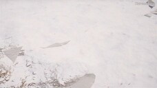 Tianming da Zhuzai episode 3