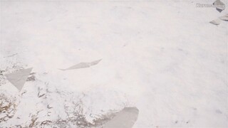 Tianming da Zhuzai episode 3
