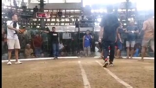 EP Backyard... 2 hits Champion, Calamba