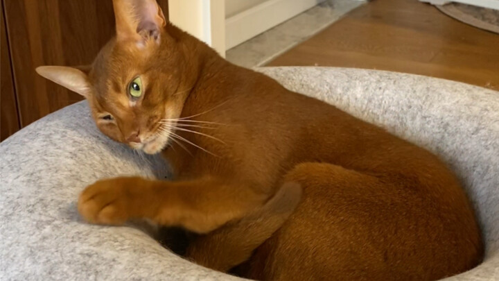 Please don’t @ Brother Jun for stuff like this anymore! (Don’t click if you don’t want to see me mad