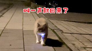 Pada pukul 1:30 tengah malam, saya berada di luar memanggil kucing agar pulang.
